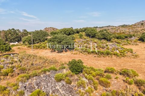 Granja a Castelo de Vide, Portalegre, Castelo de Vide - € 800.000 | Ref: FG438 - foto 48