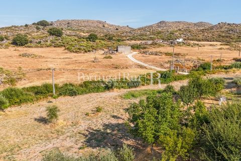 Granja a Castelo de Vide, Portalegre, Castelo de Vide - € 800.000 | Ref: FG438 - foto 49