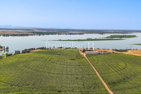 Landejendom i Evora, Evora, Evora - € 4.200.000 | Ref: FG603 - foto 6