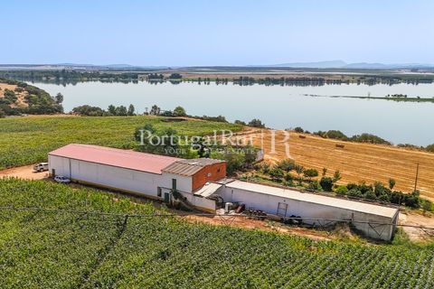 Landejendom i Evora, Evora, Evora - € 4.200.000 | Ref: FG603 - foto 7
