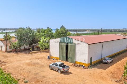 Landejendom i Evora, Evora, Evora - € 4.200.000 | Ref: FG603 - foto 10