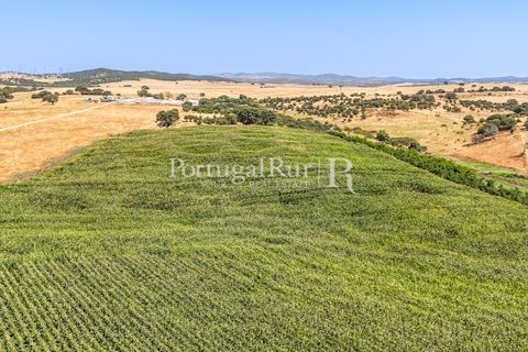 Landejendom i Evora, Evora, Evora - € 4.200.000 | Ref: FG603 - foto 11