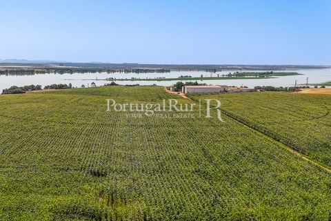 Landejendom i Evora, Evora, Evora - € 4.200.000 | Ref: FG603 - foto 12