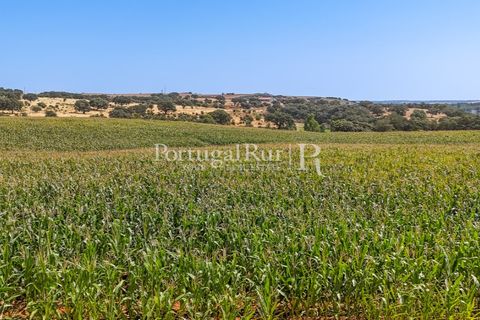 Landejendom i Evora, Evora, Evora - € 4.200.000 | Ref: FG603 - foto 13