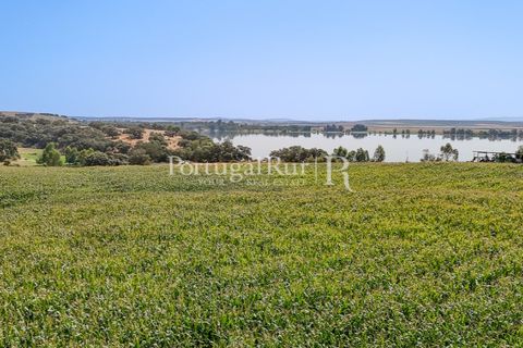 Landejendom i Evora, Evora, Evora - € 4.200.000 | Ref: FG603 - foto 14