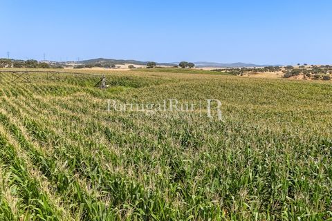 Landejendom i Evora, Evora, Evora - € 4.200.000 | Ref: FG603 - foto 15
