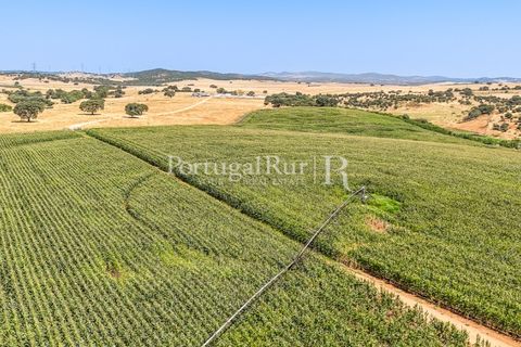 Landejendom i Evora, Evora, Evora - € 4.200.000 | Ref: FG603 - foto 17