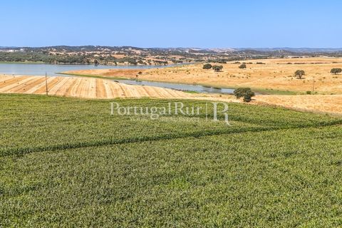 Landejendom i Evora, Evora, Evora - € 4.200.000 | Ref: FG603 - foto 21