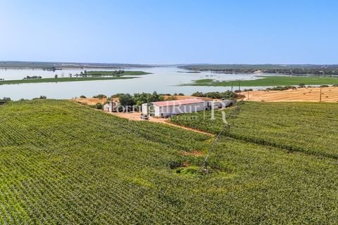 Landejendom i Evora, Evora, Evora - € 4.200.000 | Ref: FG603 - foto 22