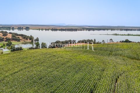 Landejendom i Evora, Evora, Evora - € 4.200.000 | Ref: FG603 - foto 23