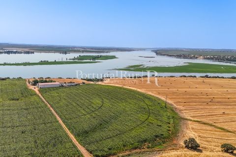 Landejendom i Evora, Evora, Evora - € 4.200.000 | Ref: FG603 - foto 24