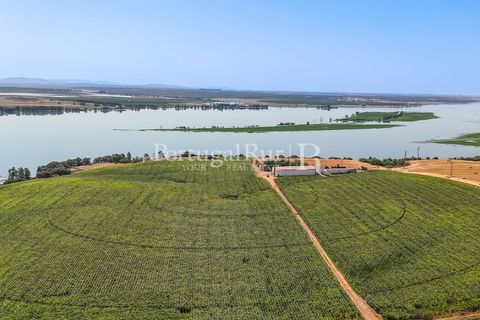 Landejendom i Evora, Evora, Evora - € 4.200.000 | Ref: FG603 - foto 26
