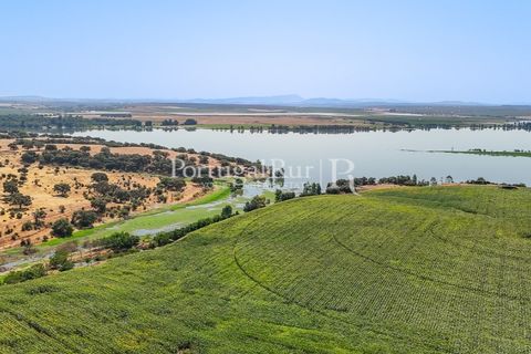 Landejendom i Evora, Evora, Evora - € 4.200.000 | Ref: FG603 - foto 28