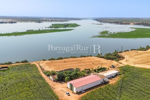 Landejendom i Evora, Evora, Evora - € 4.200.000 | Ref: FG603 - foto 29