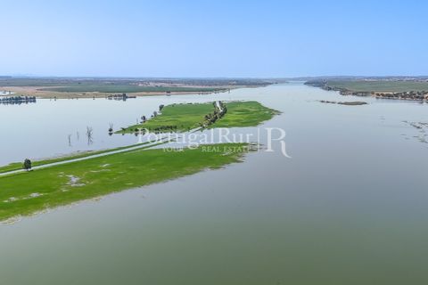 Landejendom i Evora, Evora, Evora - € 4.200.000 | Ref: FG603 - foto 34