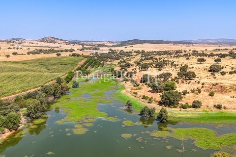 Landejendom i Evora, Evora, Evora - € 4.200.000 | Ref: FG603 - foto 39