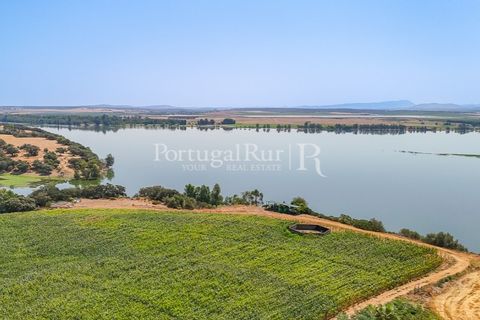 Landejendom i Evora, Evora, Evora - € 4.200.000 | Ref: FG603 - foto 45