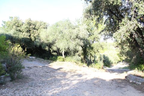 Helårsgrund i Uchaud, Gard, Uchaud - € 595.000 | Ref: 0064-PR - foto 8