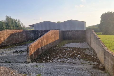 Erhvervsejendom i Attimis, Udine, Attimis - € 130.000 | Ref: 338 - foto 11