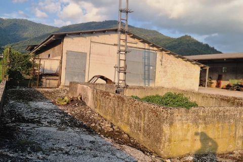 Erhvervsejendom i Attimis, Udine, Attimis - € 130.000 | Ref: 338 - foto 13
