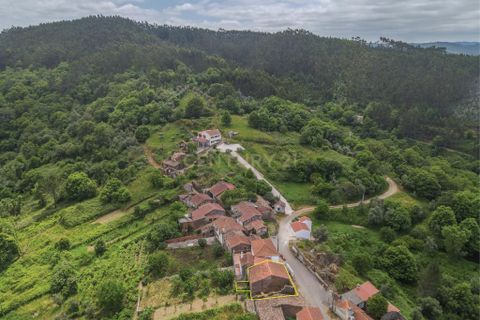 Villa a Miranda do Corvo, Coimbra, Miranda do Corvo - € 42.500 | Ref: C0289-01780 - foto 15
