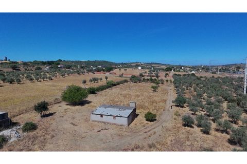Farm i Vila Vicosa, Evora, Vila Vicosa - € 97.000 | Ref: ALT006/015/2025 - foto 1