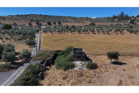 Farm i Vila Vicosa, Evora, Vila Vicosa - € 97.000 | Ref: ALT006/015/2025 - foto 2