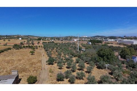 Farm i Vila Vicosa, Evora, Vila Vicosa - € 97.000 | Ref: ALT006/015/2025 - foto 3