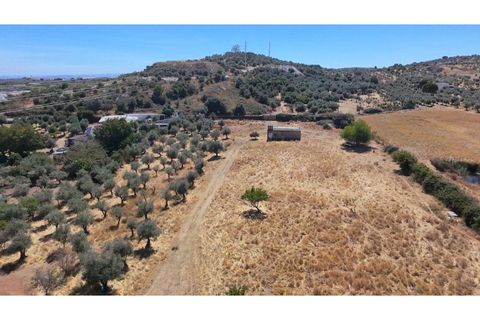 Farm i Vila Vicosa, Evora, Vila Vicosa - € 97.000 | Ref: ALT006/015/2025 - foto 4