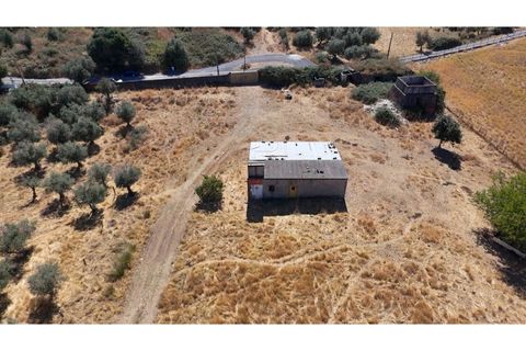 Farm i Vila Vicosa, Evora, Vila Vicosa - € 97.000 | Ref: ALT006/015/2025 - foto 5