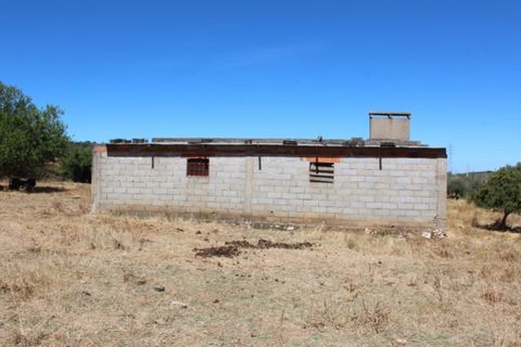 Farm i Vila Vicosa, Evora, Vila Vicosa - € 97.000 | Ref: ALT006/015/2025 - foto 6