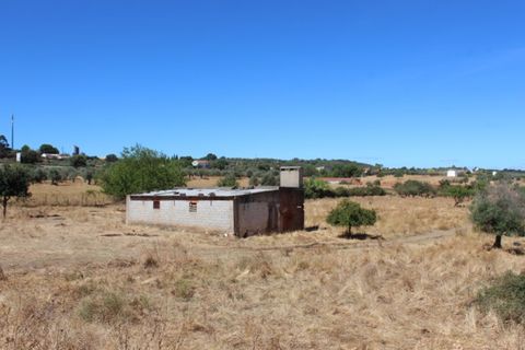 Farm i Vila Vicosa, Evora, Vila Vicosa - € 97.000 | Ref: ALT006/015/2025 - foto 7