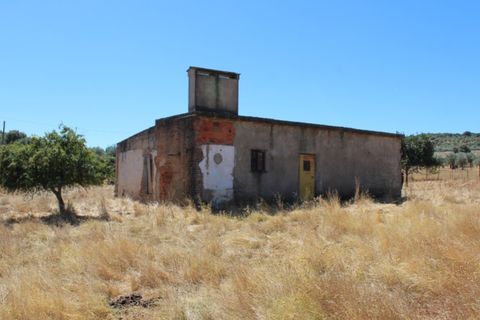 Farm i Vila Vicosa, Evora, Vila Vicosa - € 97.000 | Ref: ALT006/015/2025 - foto 9