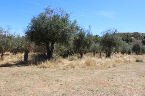 Farm i Vila Vicosa, Evora, Vila Vicosa - € 97.000 | Ref: ALT006/015/2025 - foto 10