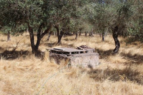 Farm i Vila Vicosa, Evora, Vila Vicosa - € 97.000 | Ref: ALT006/015/2025 - foto 12