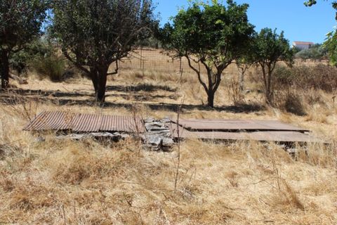 Farm i Vila Vicosa, Evora, Vila Vicosa - € 97.000 | Ref: ALT006/015/2025 - foto 13
