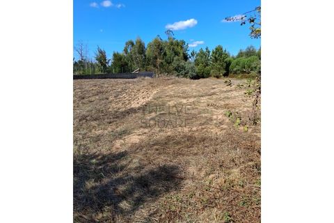Helårsgrund i Leiria, Leiria, Leiria - € 45.000 | Ref: 075/25 - foto 5