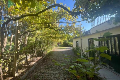 Villa i Viana do Castelo, Viana do Castelo, Viana do Castelo - € 399.000 | Ref: PTL-016-039 - foto 13