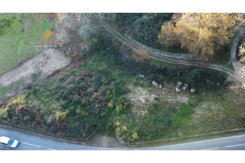 Helårsgrund i Arcos de Valdevez, Viana do Castelo, Arcos de Valdevez - € 45.000 | Ref: AVV-021-013 - foto 9