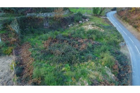 Helårsgrund i Arcos de Valdevez, Viana do Castelo, Arcos de Valdevez - € 45.000 | Ref: AVV-021-013 - foto 13
