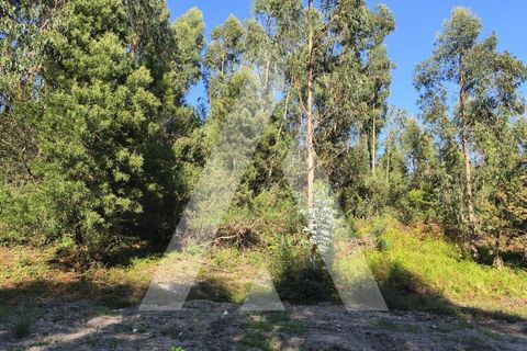 Helårsgrund i Eixo e Eirol, Aveiro, Eixo e Eirol - € 170.000 | Ref: 1040771/25 BR - foto 2