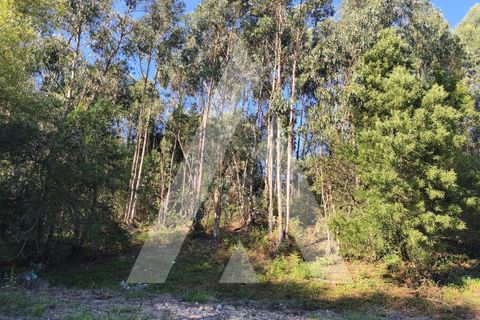 Helårsgrund i Eixo e Eirol, Aveiro, Eixo e Eirol - € 170.000 | Ref: 1040771/25 BR - foto 3