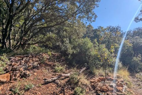 Terra a Carcès, Var, Carcès - € 18.000 | Ref: 86344034 - foto 4