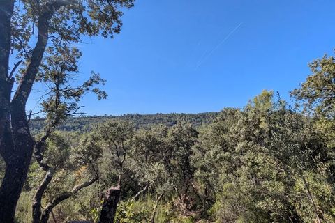 Terra a Carcès, Var, Carcès - € 18.000 | Ref: 86344034 - foto 5