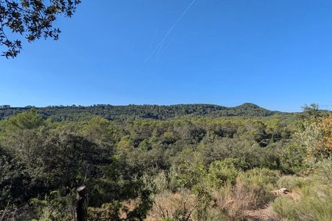 Terra a Carcès, Var, Carcès - € 18.000 | Ref: 86344034 - foto 7