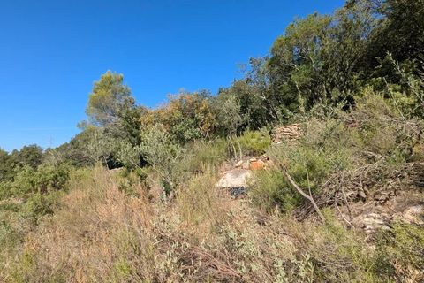 Terra a Carcès, Var, Carcès - € 18.000 | Ref: 86344034 - foto 8