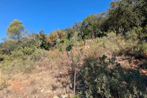 Terra a Carcès, Var, Carcès - € 18.000 | Ref: 86344034 - foto 9