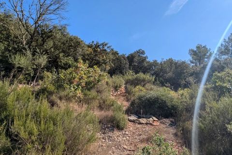 Terra a Carcès, Var, Carcès - € 18.000 | Ref: 86344034 - foto 10