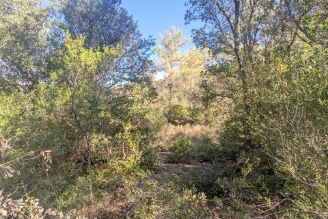 Terra a Carcès, Var, Carcès - € 18.000 | Ref: 86344034 - foto 11
