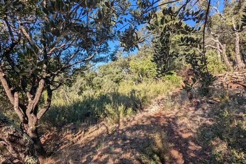 Terra a Carcès, Var, Carcès - € 18.000 | Ref: 86344034 - foto 14